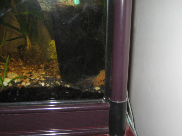 IMG_6533.JPG